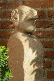 wachter