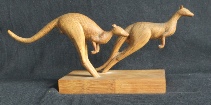 kangaroes