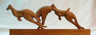 kangaroes 2