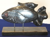 zwartvis